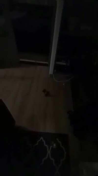 Lots of unsettling poltergeist activity. Imagine living in this house!