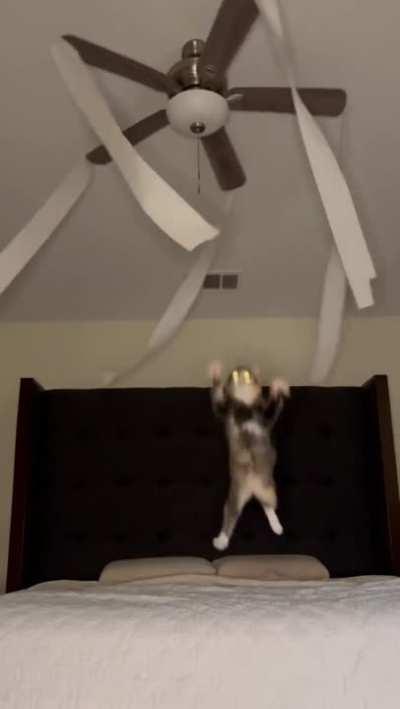 Ok I’m doing this tonight