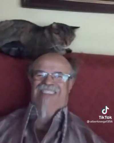 MoaiGreddit - Video #0453