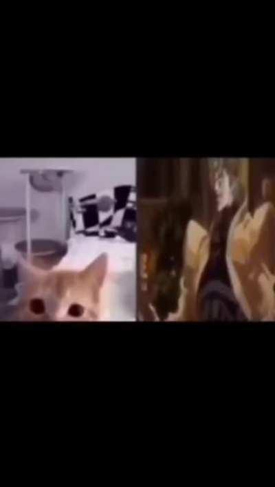 Wunk wunk's strange experience 