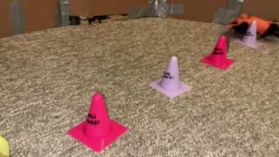 My adorable rat Cracker doing a fun trick combo in her pumpkin costume!