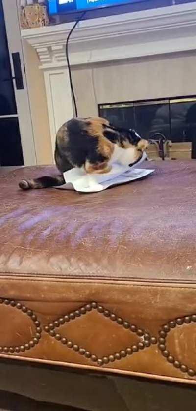 My secretary filing some papers