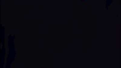 15 humanitarian workers in Gaza killed by IDF in ambush