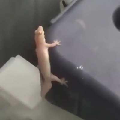 Me when I go anywhere with my dad and he gets to play the music: