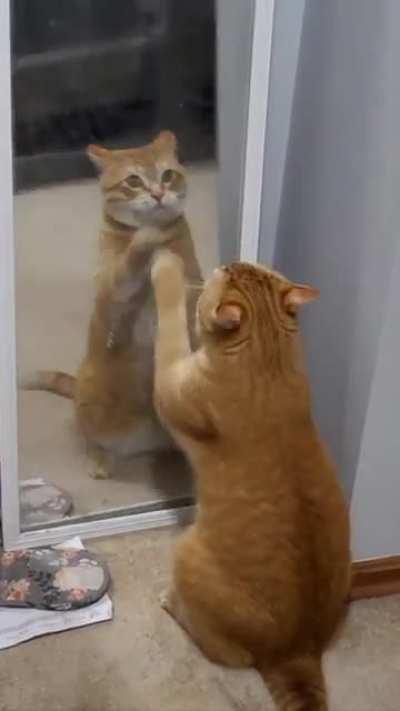 ABSOLUTELY NO THOUGHTS