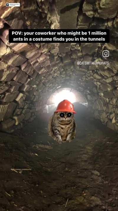 don't eat the yellow ice