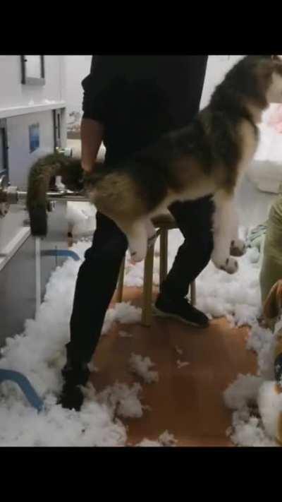 OMG I was so confused lol.....