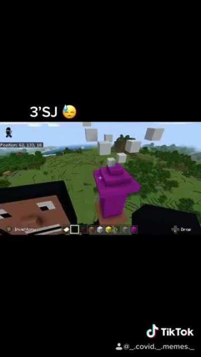 In honour of SJ I have created him in minecraft, free him up 😔🙏 way too much effort went into this