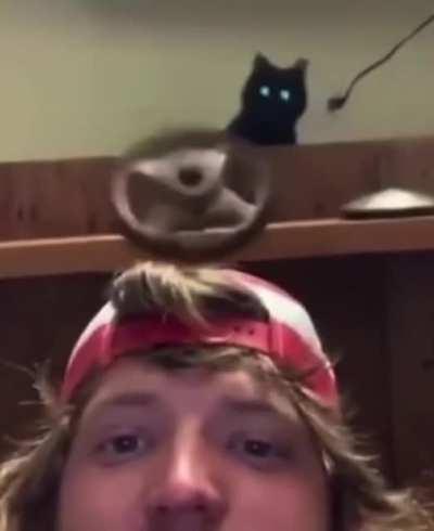 Just a little meme compilation to weaken Mr. Jake