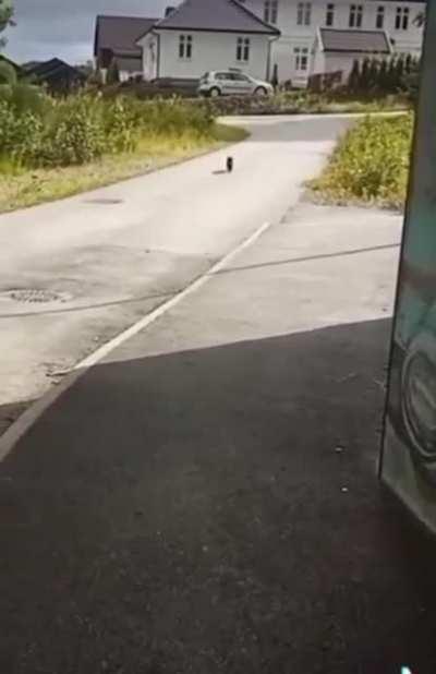 Getting an earful for being late