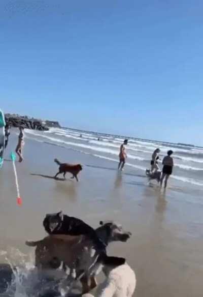 Tippy taps could no longer be contained