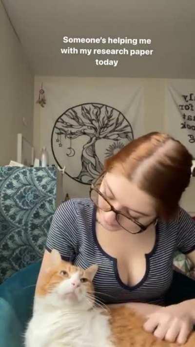 Those glasses are asking for a load of cum