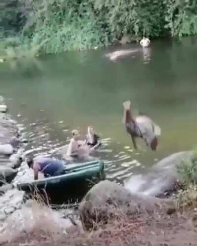 HMFT after I jump flat on a rock
