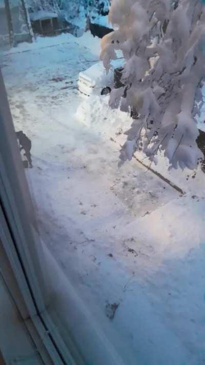 It be like that sometimes