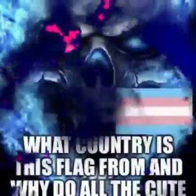 im not gonna ask again