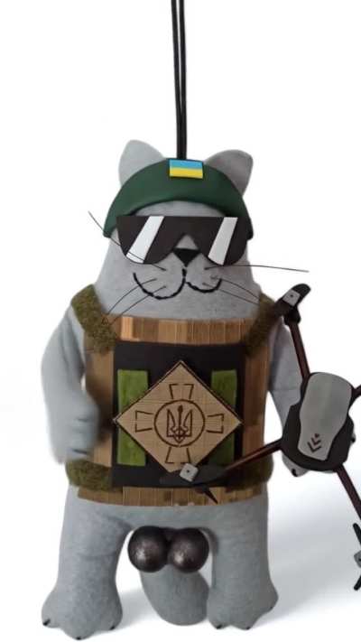 AFU combat cat