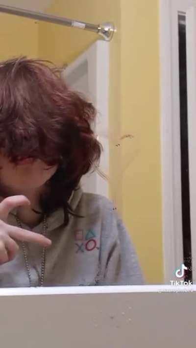 Recreating an animation