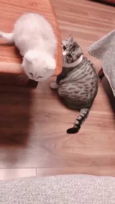 Don't worry baby... Momma got you