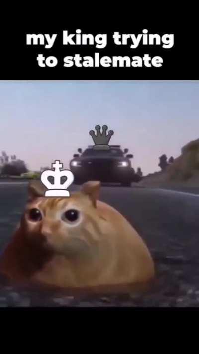 Google Stalemate Gambit