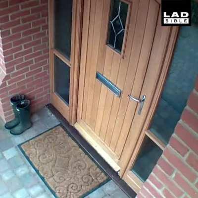 Taking the dog out for a walk