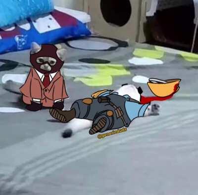 What’cha got there?