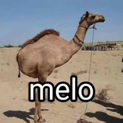 Melo