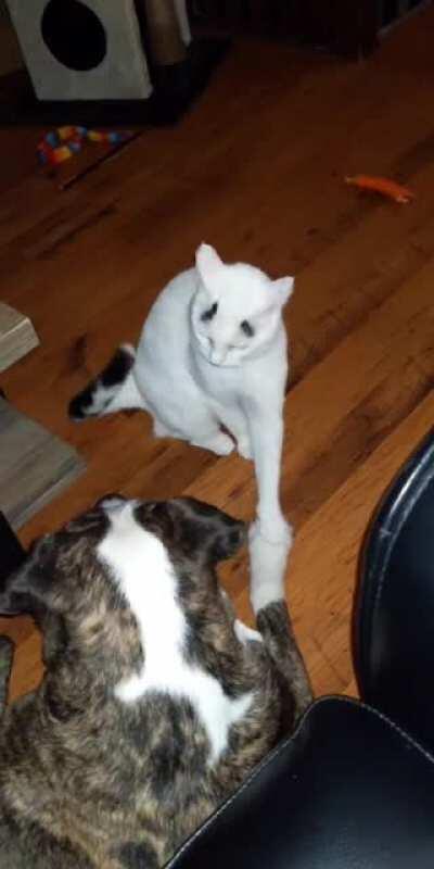 I wanna hold your hand