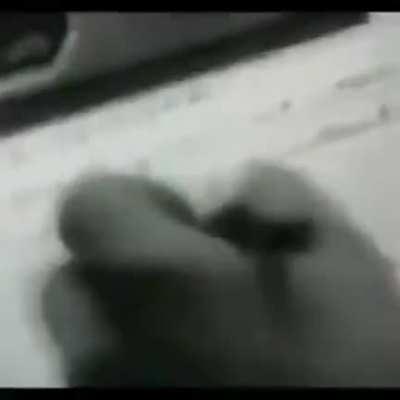 Pedophile questionnaire