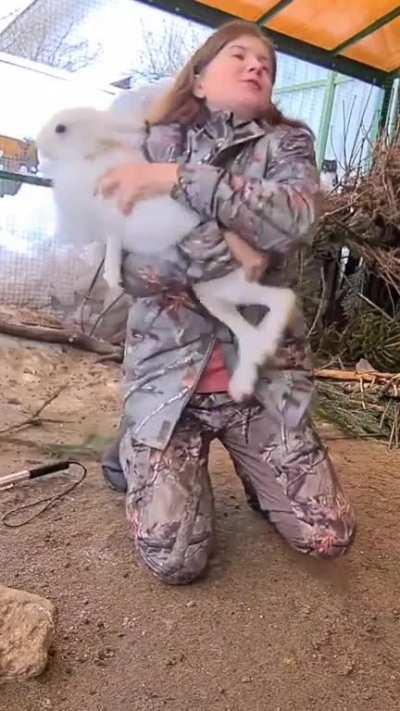 to stop the rehabilitator from stealing your girl