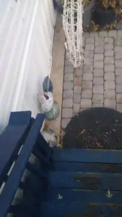 stoop waching za warudo cup