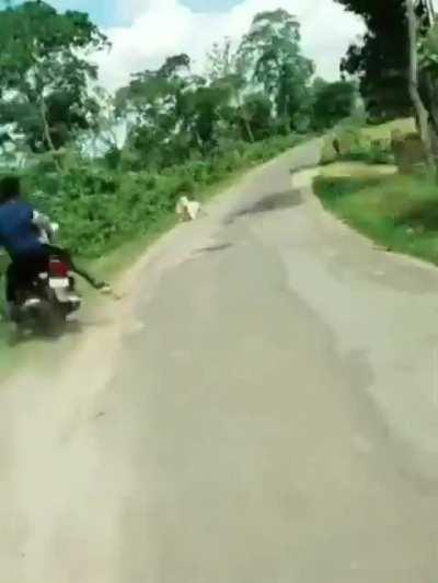 Teenagers gone wild.