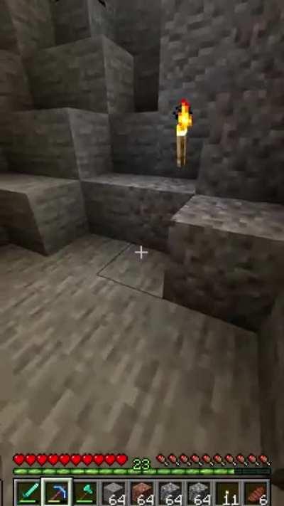 What the dog doin ???