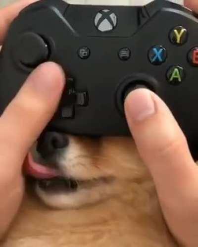 SiCk FuCk MoUntEd hIs xBox ContRoLer oN a hElpLesS Pup