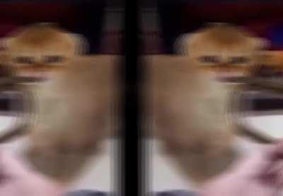 Big poo ballin with a trumpet?