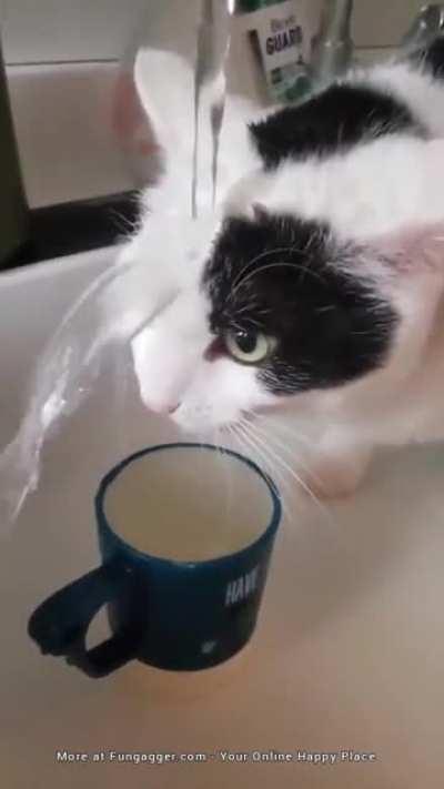 To drink water