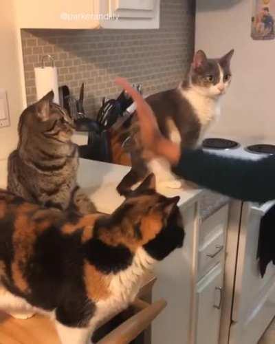 Yes!…maybe…nope!