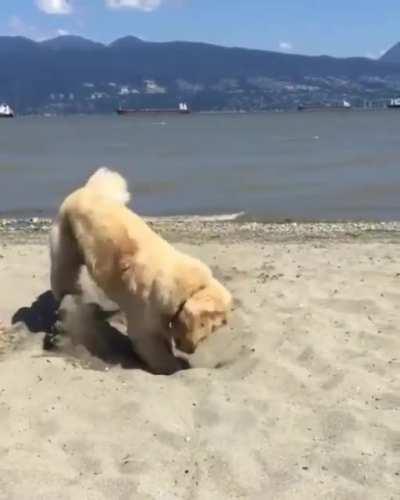 Ok Break's over, back to work