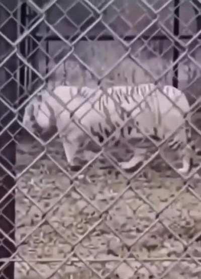 This put a smile on my face