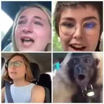 MUCALOL CONVERSANDO COM SUAS WEBNAMORADAS PELA CHAMADA DE VIDEO