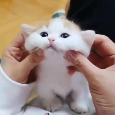 Very smol cheeks
