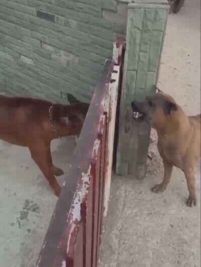 This would fit in with Looney Toons