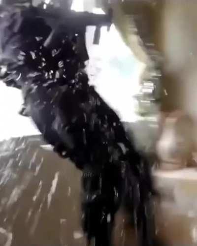 Donde esta admin simp