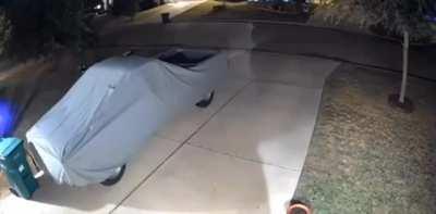 Drive by Shooting in Harker Heights, Texas