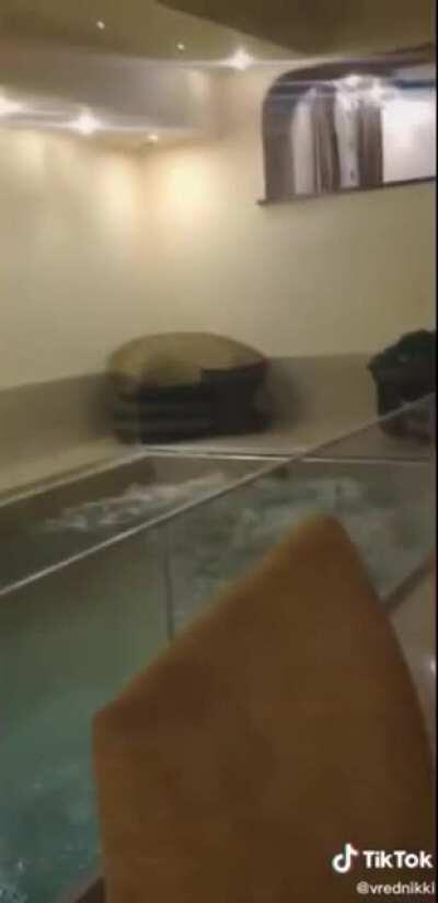 Whoop, another half-wit...