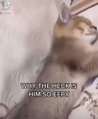 WHY SO EEEEEPPYYYYY ! ! !