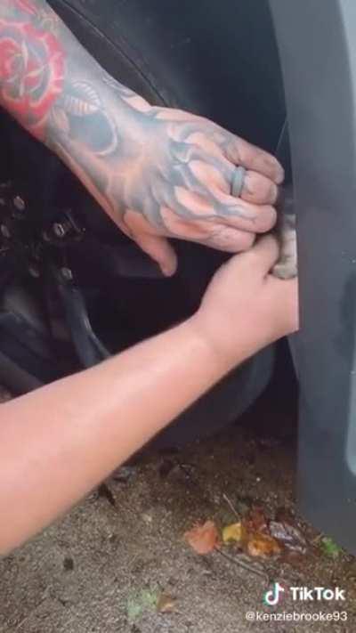 Despicable cat smuggler hides kitten in a car, it was later found to have suffocated 😭😭😭