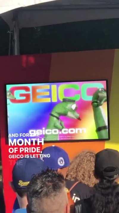 gay🦎irl
