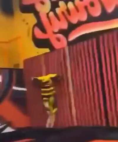 My Velcro People Need Me