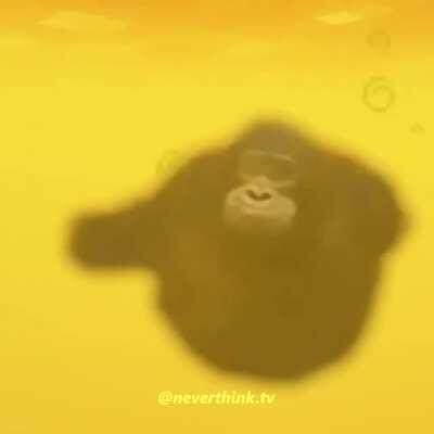 When you drink Fire Resistance in the Nether