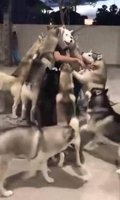 Wow they already live-acted the last manga chapter.